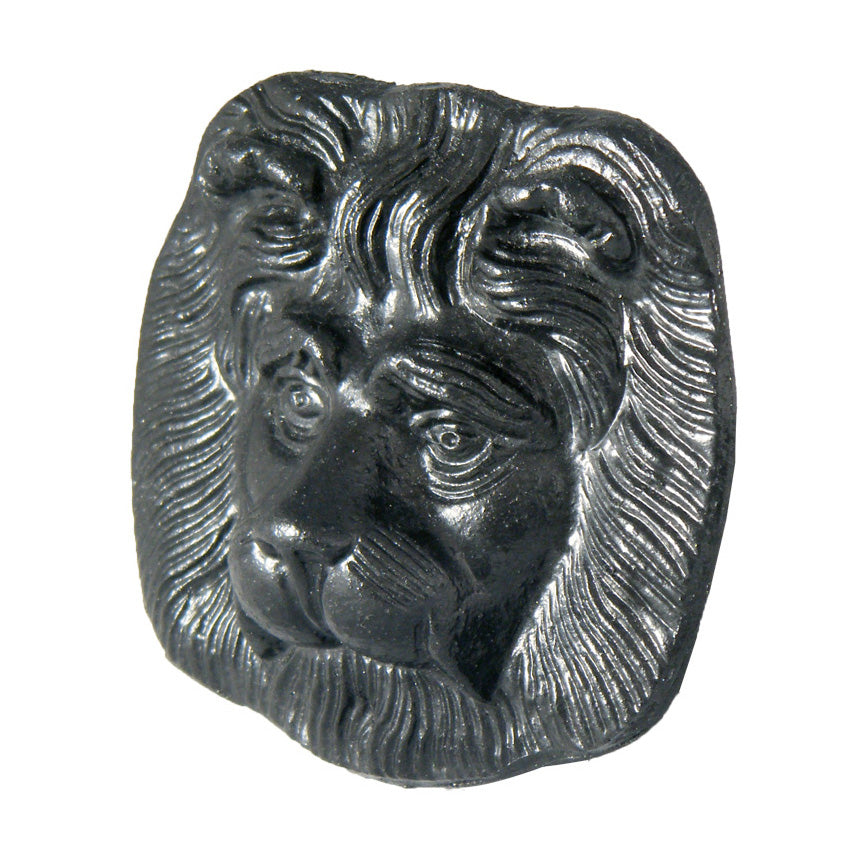 Cast Iron 75mm Lion's Head Hopper Motif