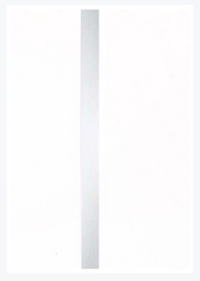 Neptune White Chrome 250mm x 7.5mm x 2.6m Cladding