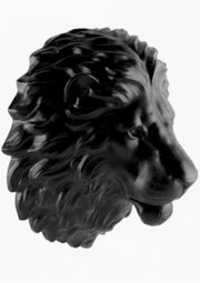 Cast Iron 90mm Lion's Head Hopper Motif